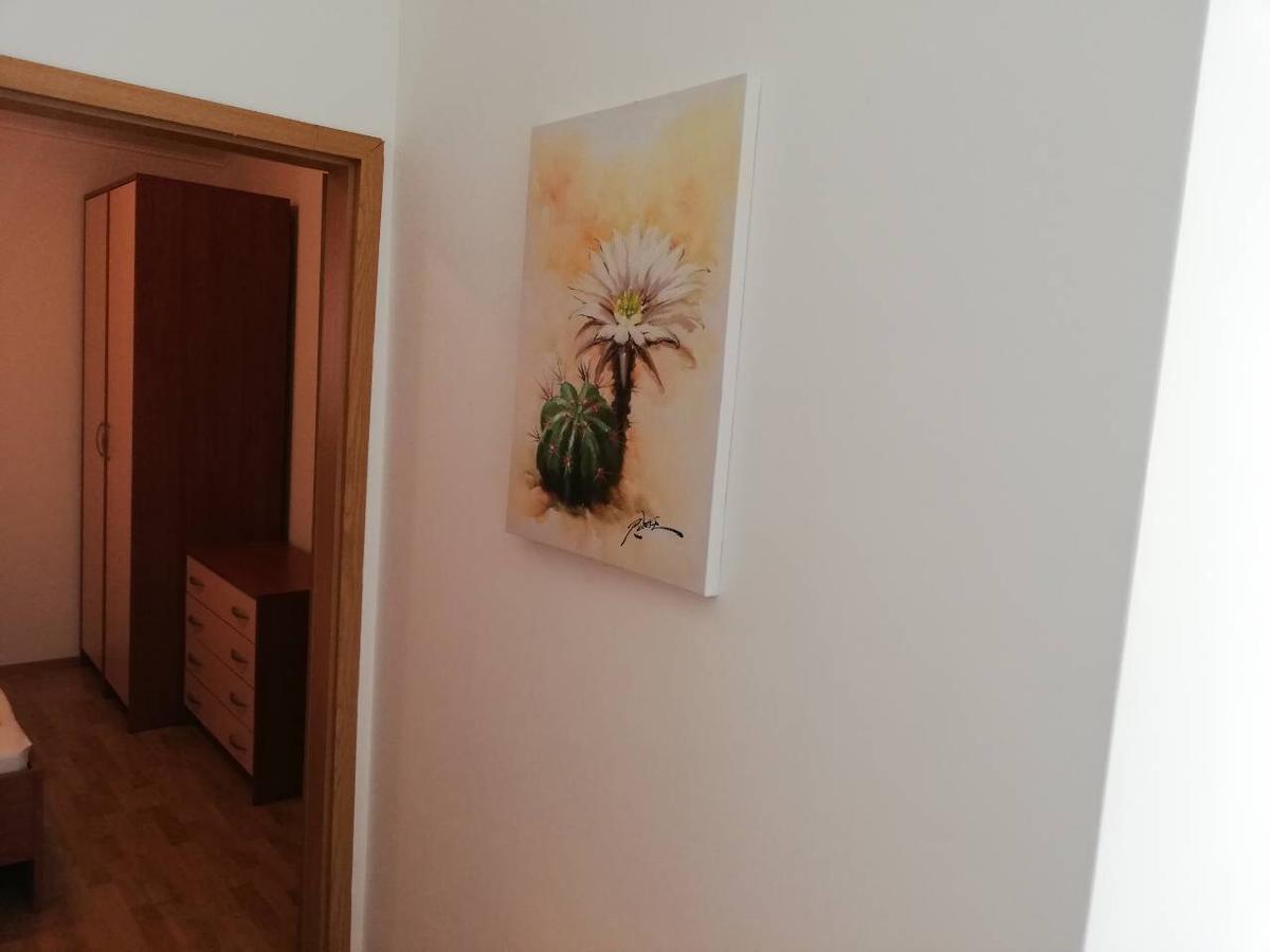 Apartments Cepo ماكارسكا المظهر الخارجي الصورة